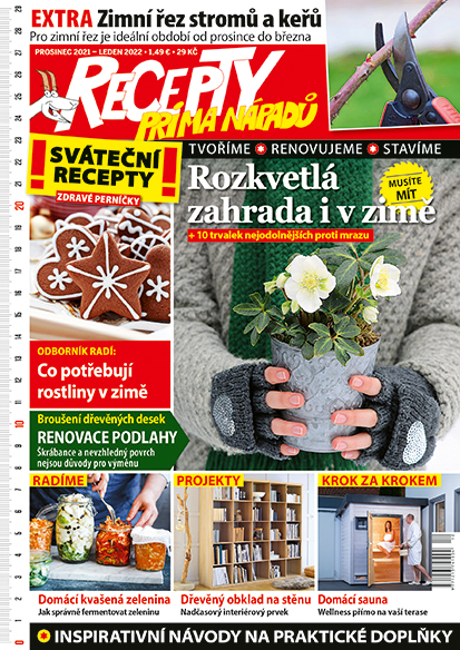 titulní strana časopisu Recepty prima nápadů 2021//12