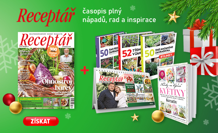 promo předplatného časopisů