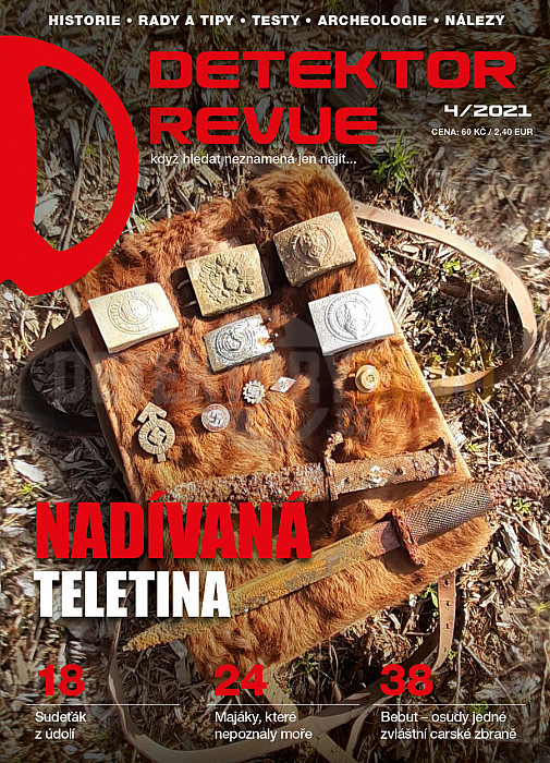 titulní strana časopisu Detektor Revue 2021//1