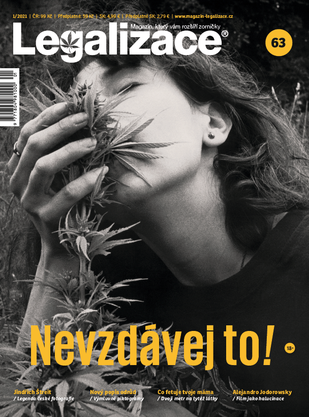 obálka časopisu Legalizace (63) 1/21