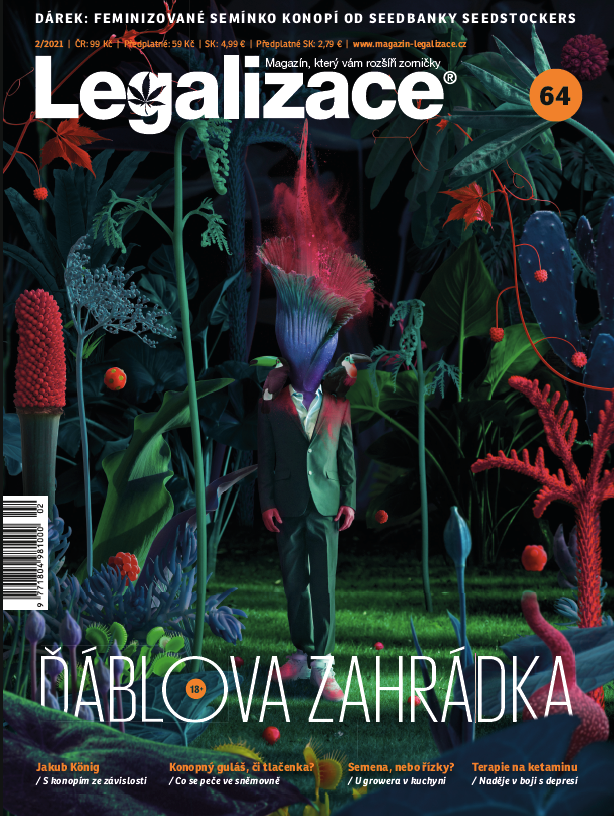obálka časopisu Legalizace (64) 2/21