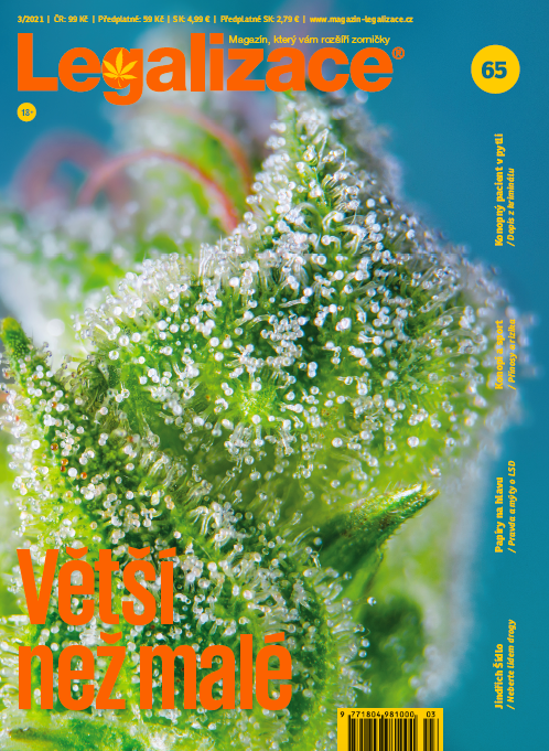 obálka časopisu Legalizace (65) 3/21