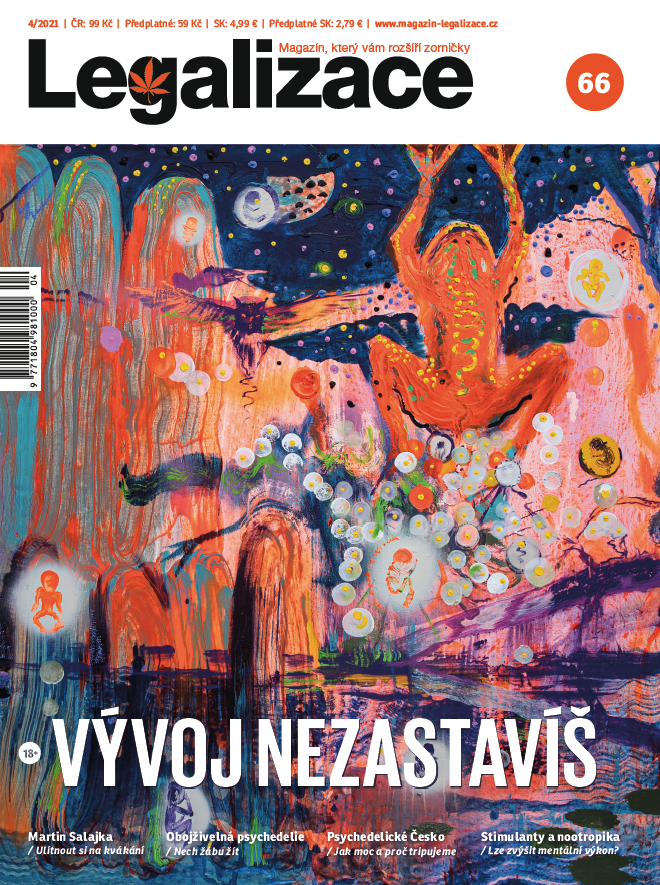 obálka časopisu Legalizace (66) 4/21