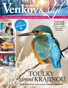 obálka časopisu Marianne Venkov & styl 1/2024