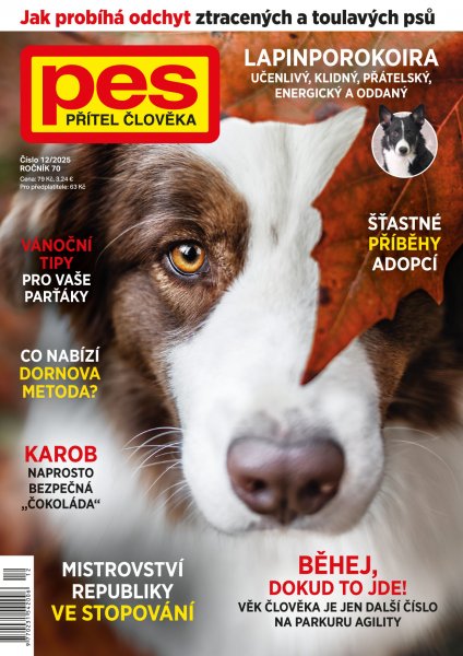 obálka časopisu Pes přítel člověka 12/2025