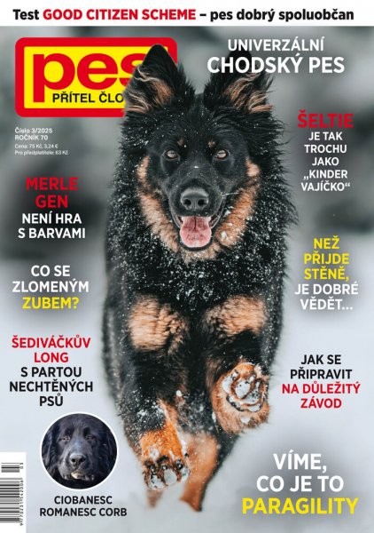 obálka časopisu Pes přítel člověka 3/2025