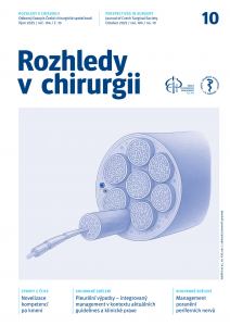 obálka časopisu Rozhledy v chirurgii  10/2025