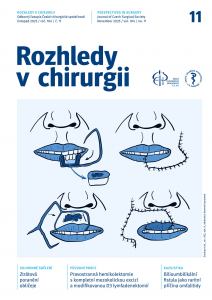 obálka časopisu Rozhledy v chirurgii  11/2025