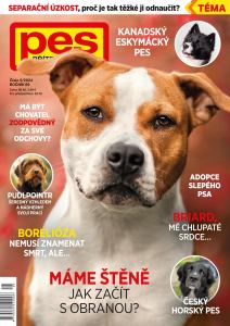 obálka časopisu Pes přítel člověka