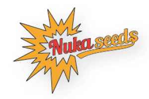  Balíček Nuka Seeds Pět semínek samonakvétací odrůdy Banshee z dílny nováčka na našem trhu, česko-irské semenné banky Nuka Seeds, tvoří vánoční dárkový balíček, který po-těší každého sběratele. Uklidňující pocit, který by se dal nazvat meditací, se umocní bambusovými štítky a samolepkami, nedílnou toť součástí každého balíčku.