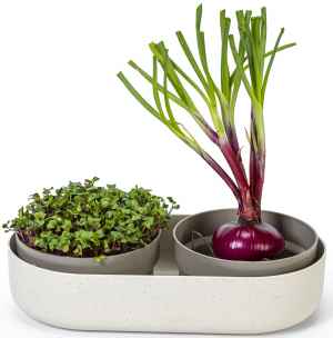  Sada na Microgreens a Regrow 
 Elegantní pěstební sada a semínka 
Microgreens a Regrow jsou zdravé formy pěstování v pohodlí domova. 
V balíčku od české firmy Plastia najdete sadu na klíčení semen i na pěstování z odřezků.
Běžná cena je 628 Kč