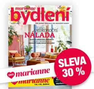 BD2304DM Roční předplatné 12 výtisků se slevou 30%   bez bonusu .


