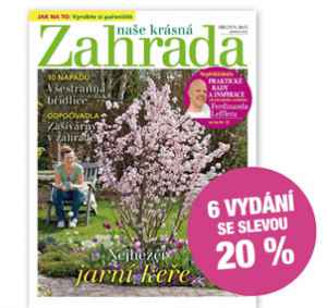NKZ2304P Půlroční předplatné na 6 výtisků se slevou 20%   bez bonusu + DIGI VERZE ZDARMA!. Je nutno zadat email u odběratele!
