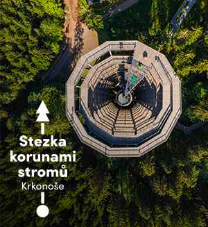 Dárkem je vstupenka v hodnotě 350 Kč na Stezku korunami stromů v Krkonoších, která vás opravňuje ke vstupu na tuto bezbariérovou atrakci, a zároveň i na dětské hřiště Emilův lesní svět.