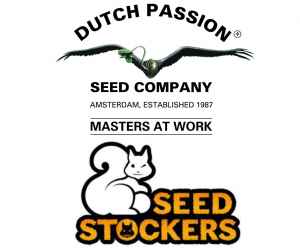  Jarní nadílka 18 semen 
 Novinky od Dutch Passion a Seedstockers 
Ve zbrusu novém balíčku najdete 5 ks GMO Fast a 3 ks Auto Candy Bubatz XL od holandských borců Dutch Passion, 
k tomu 5 semen Sour Diesel Auto a 5 semen Gorilla Cookies Auto od španělských Seedstockers!
Jedná se o sběratelský předmět.

