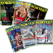 dárek k předplatnému časopisu Koktejl