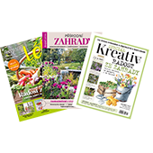 dárek k předplatnému časopisu TV magazín