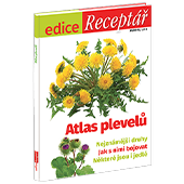 Předplaťte si Receptář na rok se 4 speciály zdarma 
 za akční cenu  
a získáte Edici  Atlas plevelů  v hodnotě 79 Kč jako dárek.
  

  Edice Atlas plevelů  
Jaké druhy plevelů škodí na vaší zahradě?  
Poradíme nejen jak je poznat, ale také jak je účinně zlikvidovat! 
Podrobné popisy a kvalitní fotografie nejznámějších druhů plevelů, které škodí na vaší zahradě. 
Dozvíte se rovněž, které plevele jsou použitelné v kuchyni. 
Cena na stánku 79,90 Kč, vyšlo v roce 2019. 
✱ Nejnámější druhy 
✱ Jak s nimi bojovat 
✱ Některé jsou i jedlé


  
Cena zahrnuje poštovné a balné.
  

Pokud chcete předplatné věnovat, můžete si při vyplňování objednávkového formuláře stáhnout dárkový certifikát 
nebo si ho objednejte na tel.: 272 015 020 či e-mailem: receptar@mojepredplatne.cz a my vám ho pošleme poštou.

  
Neváhejte a objednávejte ihned. Nabídka platí jen do vyčerpání zásob dárků. 
Dárky vám rezervujeme dva týdny od objednání předplatného (do té doby je třeba předplatné uhradit). 
Dárky zasíláme do 30 dnů od zaplacení na adresu plátce prostřednictvím České pošty. 
Nabídka platí pouze pro předplatné doručované do České republiky.


  
Předplatné je na 12 měsíců.
  
 Elektronická verze  časopisu je k tištěné verzi zcela  ZDARMA .
 
Registrujte se na  www.Mojepredplatne.cz  a čtěte svůj oblíbený titul až na 4 zařízeních v E-KNIHOVNĚ.
