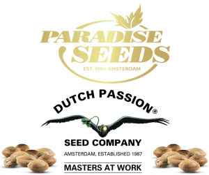 Podzimní dvanáctka 
 Výběr od Paradise Seeds a Dutch Passion 
V limitovaném balíčku najdete výběr Indica Champions od Paradise Seeds (po 2 ks White Berry, Sensi Star a Ice Cream) a k tomu od Dutch Passion 3 ks Auto Mokum's Tulip a 3 ks Auto Oh My Gusher. Jde o sběratelský předmět.