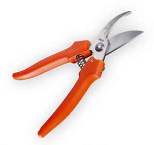 NKZ2512B Roční předplatné a  NŮŽKY STA- FOR + DIGI ZDARMA. Akce platí do vyčerpání zásob a úhradě do 16.12.2025.   Bonus je odesílán na plátce a pouze po ČR. Nutno zadat email u odběratele!  Popis produktu:  Nůžky jsou lehké a kompaktní, a přesto
přesné a ostré tak, že je nebudete chtít dát z
ruky. Využijete je v průběhu celé sezóny na
květiny i sklizeň zeleninové úrody.  Více na  POPOROSTEM    
 