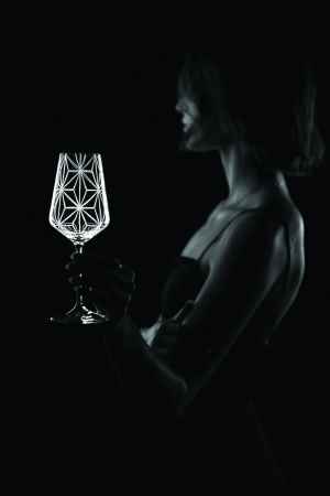 Dárek za předplatné -  SADA SKLENIČEK NA VÍNO GLORY BLACK od společnosti EVPAS, sada 2 ks  
   Dárek je odesílán na plátce do 6-ti týdnu od uhrazení. 