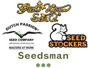 dárek k předplatnému časopisu Konopí