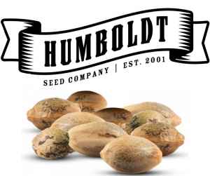  6 semen Humboldt Seed Company 
 3 nové automaty a 3 feminizované kousky 
Další nesmírně zajímavá spolupráce s jednou z nejoblíbenějších světových seedbank – Humboldt Seed Company z Kalifornie. Čekají vás žhavé novinky v podobě 3 ks Strawberry Cheescake Auto a 3 ks Garlic Budder. Jde o sběratelský předmět.

