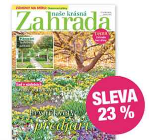 NKZ2602 Půlroční předplatné se slevou 23%   bez bonusu + DIGI VERZE ZDARMA!. Je nutno zadat email u odběratele!

