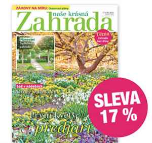 NKZ2602R Roční předplatné e slevou 17%   bez bonusu + DIGI VERZE ZDARMA. Je nutno zadat email u odběratele! 