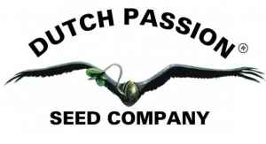  10 osvědčených klasik od Dutch Passion 
 5x Auto Skywalker Haze a 5 semen Durban Dew 
Oblíbený mix od ještě oblíbenější seedbanky z Holandska: 5 kousků sativní Auto Skywalker Haze a 5 semen odolného křížence outdoorových legend Durban Poison a Frisian Dew: Durban Dew. Jde o sběratelský předmět.
