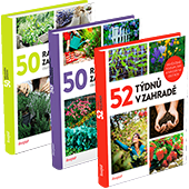 Předplaťte si Receptář na rok 
 za akční cenu  
a získejte 3 knihy o zahradě v hodnotě 685 Kč.
  

 Kniha 52 týdnů v zahradě  
Osvědčené postupy, tipy a nápady na celý rok. 
Nejnovější kniha Receptáře nabízí kompletní přehled zahradních prací pro každý týden v roce. 
Sázet, sít, pěstovat a sklízet podle ní mohou začátečníci. 
Zkušeným zahradníkům zas kniha ukáže řadu zajímavých novinek. 
Publikace se věnuje nejen pěstování, ale třeba i drobným živočichům nebo výrobě vlastního hnojiva, zkrátka všemu, co poslouží vaší zahrádce. 
Pěstujte s knihou 52 týdnů v zahradě letničky i trvalky pro krásu i užitek! 
Knihu připravila redakce časopisu Receptář spolu se svými stálými spolupracovníky. 
Vyšlo v roce 2022. Hodnota knihy je 199 Kč. 
  

 Kniha 50 rad pro malou zahrádku  
Další kniha z řady 50 rad mazaného zahradníka je tu! 
Tentokrát je zaměřená na zahrádky, ve kterých je potřeba šetřit místem, a o to lépe vše naplánovat a zařídit. 
Najdete tu tipy na uspořádání nejen rostlin, stromů či skleníku, ale třeba i na nejlepší místo pro gril, houpačku nebo posezení. 
Vyšlo v roce 2022. Hodnota knihy 287 Kč. 
   


 Kniha 50 rad mazaného zahradníka - Bylinky  
Ať už chcete pěstovat bylinky v květináči na okně nebo chcete mít velký bylinkový záhon, kniha vám poradí, jak na to. 
Najdete tu tipy pro pěstování podle světových stran, nápady na zpracování bylinek pro kosmetiku nebo jako součást receptů.  
Chcete si založit bylinkový záhon, pěkně od základů a třeba i do spirály nebo v zídce? 
Chcete vědět, kterým bylinkám bude na vaší zahradě nejlépe a co přesně budou potřebovat? 
Chcete si vypěstovat jen pár kuchyňských bylinek na okně či na balkóně a jste úplní začátečníci? 
Chtěli byste se pustit do objevování nových, zajímavých druhů zeleného koření a potřebujete trochu inspirace? 
Přečtěte si 50 rad mazaného zahradníka: Bylinky a najde