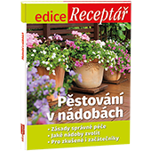 Objednejte si výhodné předplatné TV Pohoda na celý rok 
 za akční cenu  
a získáte edici Pěstování v nádobách v hodnotě 99 Kč.
  

 Edice Receptář – Pěstování v nádobách  
Terasa vám nejen zvětší obytnou plochu bytu či domu, ale může se stát taky jeho nepřehlédnutelnou ozdobou. 
Není pochyb, že ke krásné terase patří rostliny v nádobách. 
Jaké jsou ty správné, které budou slušet právě vaší terase nebo balkonu? Podle čeho vybírat?
Jaké kombinace květin, bylinek, okrasných keřů či ovoce a zeleniny zvolit? 
Jestliže s osázením terasy zrovna začínáte, poradíme také, jakou péči rostliny v nádobách vyžadují, 
po jakých nádobách a materiálech sáhnout a nakonec se můžete nechat inspirovat i praktickými radami renomované zahradní architektky. 
Prodejní cena 99 Kč, vychází 29. 4. 2025. 
• Zásady správné péče 
• Jaké nádoby zvolit 
• Pro zkušené i začátečníky



  
Neváhejte a objednávejte ihned. Nabídka platí jen do vyčerpání zásob. 




  
Předplatné je na 12 měsíců.
  
Navíc ZDARMA 4x ročně SPECIÁL plný křížovek a luštění.
  

 Elektronická verze  časopisu je k tištěné verzi zcela  ZDARMA .
 
Registrujte se na  www.Mojepredplatne.cz  a čtěte svůj oblíbený titul až na 4&nbsp;zařízeních v E-KNIHOVNĚ.
