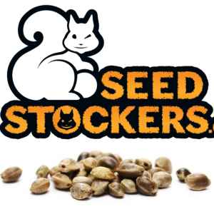  Jarní nálož od Seedstockers 
 20 semen nových odrůd! 
Extra výhodné novinky ze slunné Barcelony od španělských veverek: 15 semen ovocné odrůdy Apple Fritter Auto a 5 semen krátkodenní fotoperiody Bruce Banner. Jedná se o 
sběratelský předmět. 
