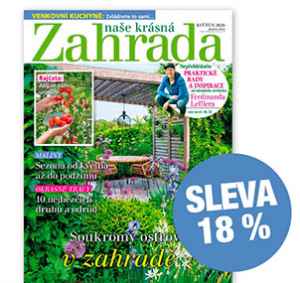 NKZ2605R Roční předplatné e slevou 18%   bez bonusu + DIGI VERZE ZDARMA. Je nutno zadat email u odběratele! 