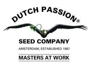  10 novinek od Dutch Passion 
 5x Auto Frozen Biscotti a 5x GMO Fast 
Dvě nové odrůdy od legendární holandské seedbanky za extra výhodnou cenu. 5 ks 